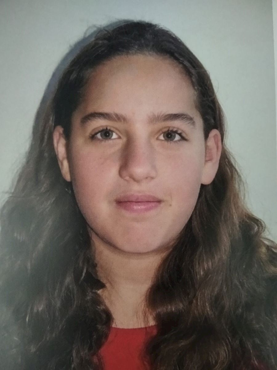 עופר גושן