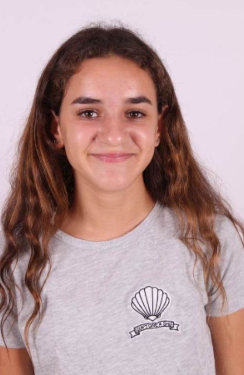 רומי גוב