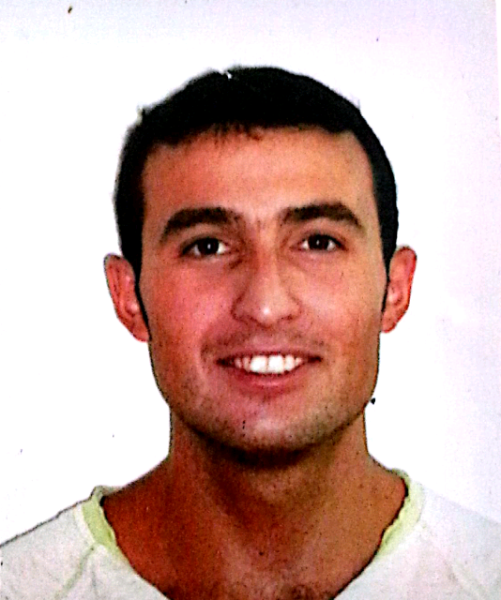 גלי ויסוצקי